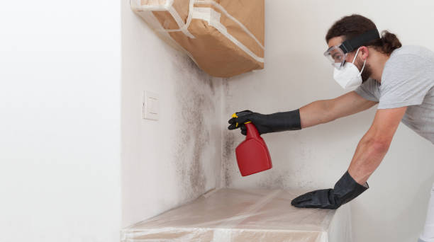 Professional Mold Cleanup technician working in Wilson, NC
