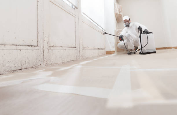 24/7 Emergency Mold Cleanup experts in Wilson, NC