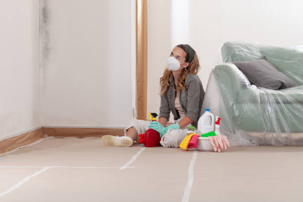Reliable Mold Cleanup contractor in Wilson, NC by Cheap Mold Removal